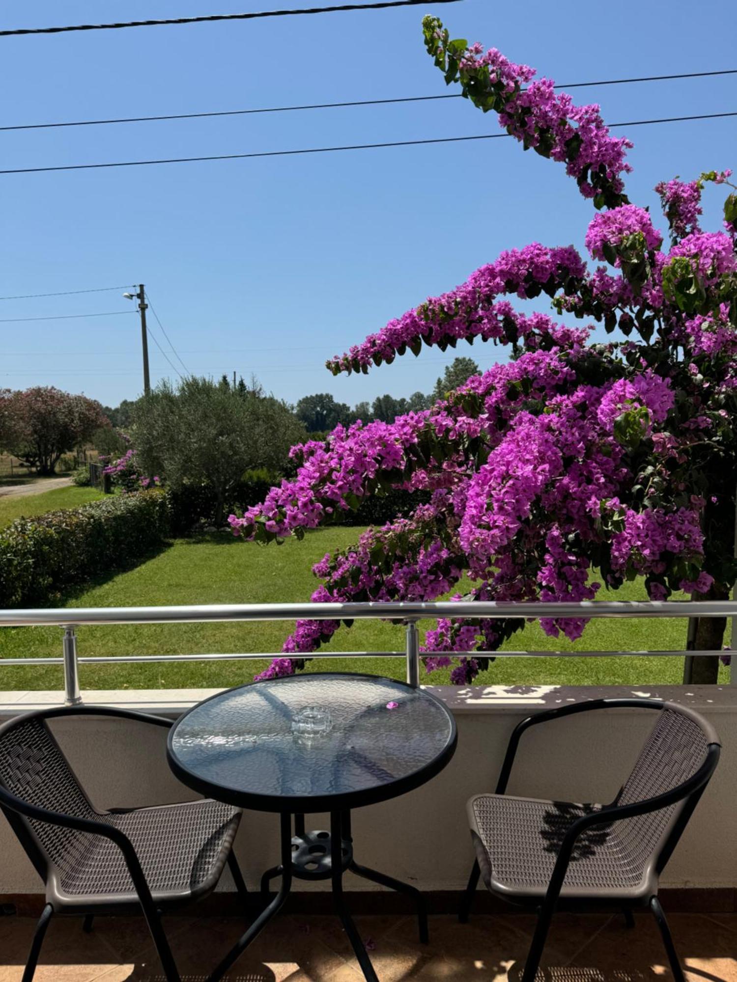 Sunrise House Apartments Ulcinj Ngoại thất bức ảnh