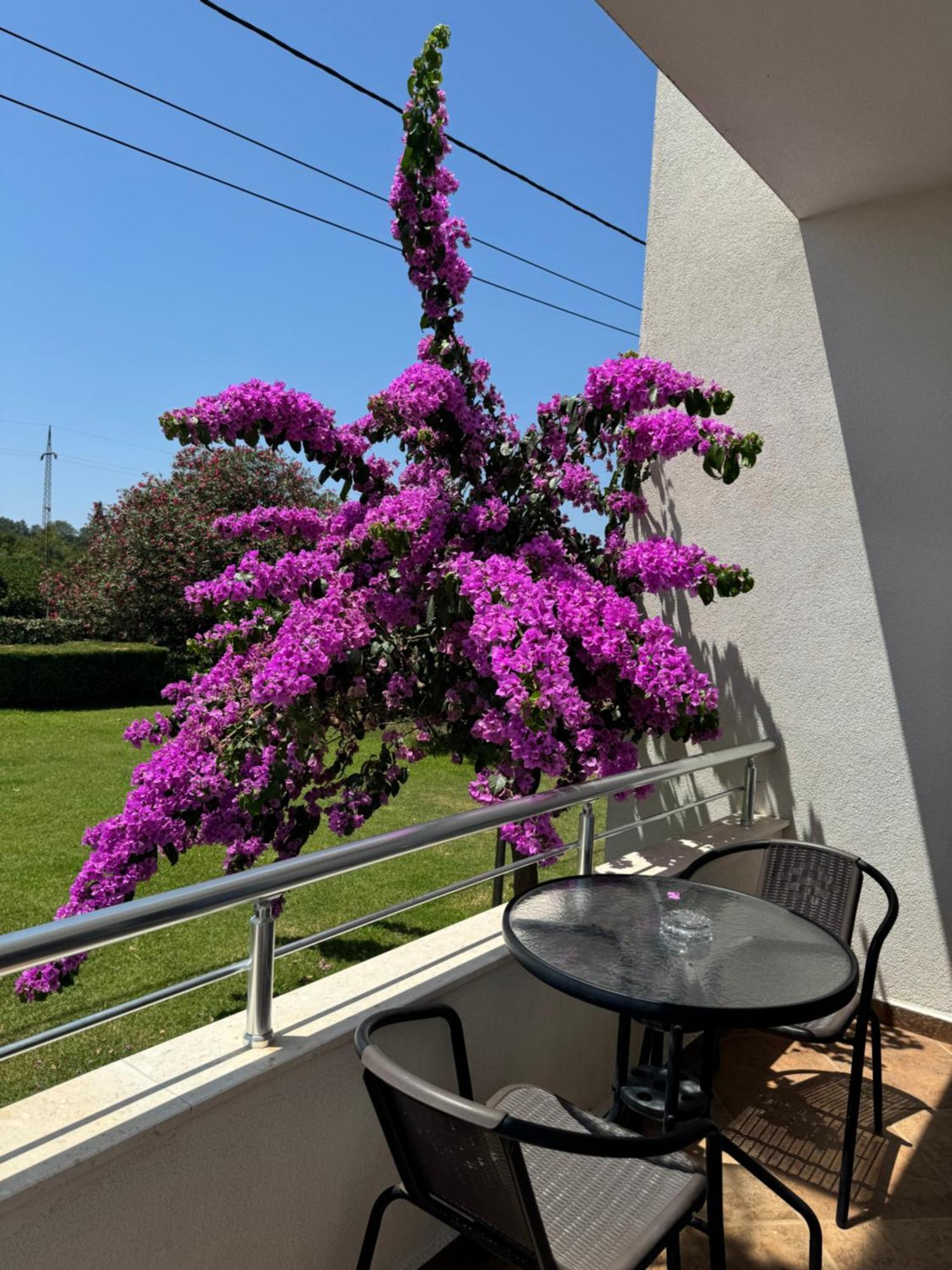 Sunrise House Apartments Ulcinj Ngoại thất bức ảnh
