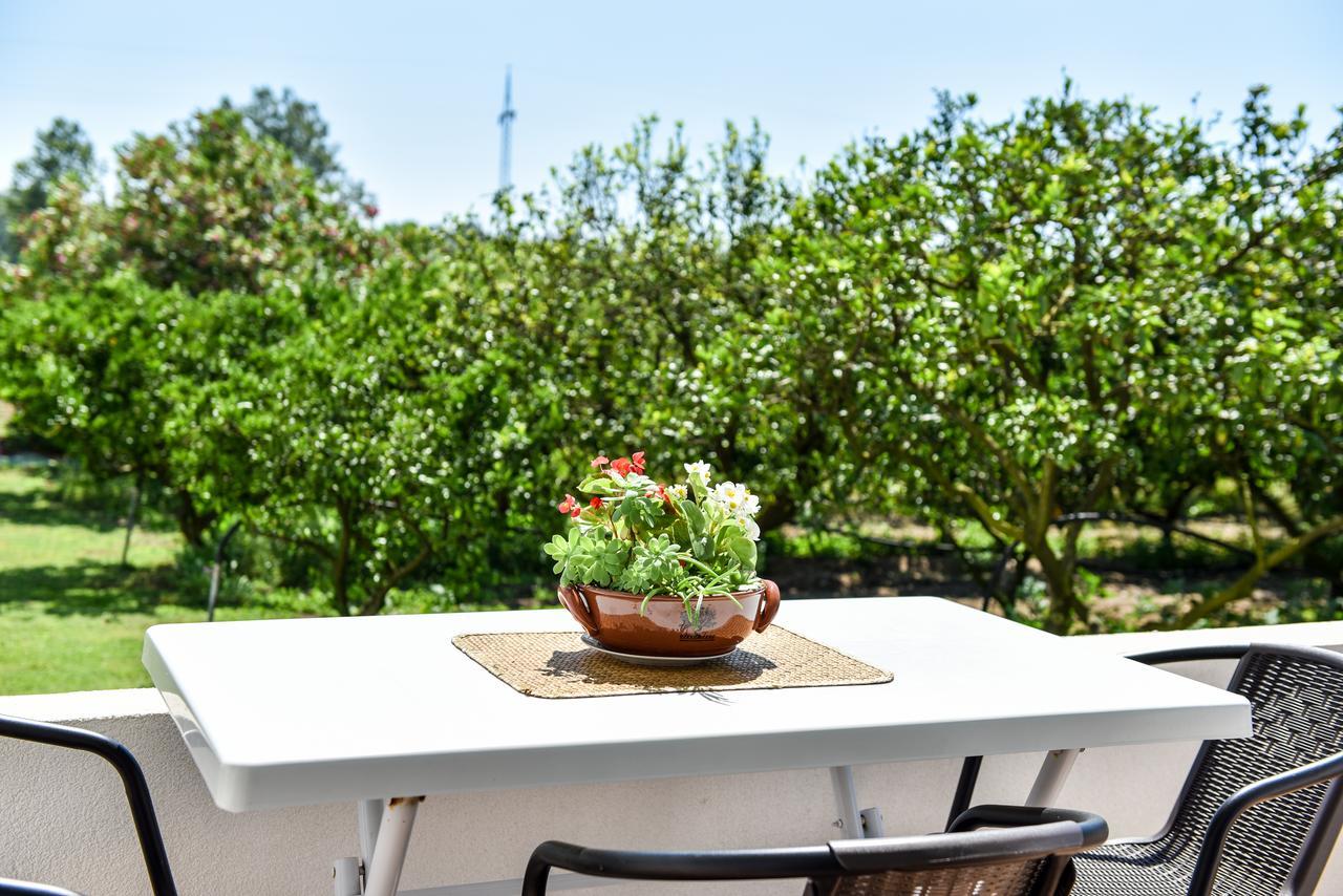 Sunrise House Apartments Ulcinj Ngoại thất bức ảnh